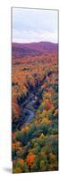 Autumn Color at Porcupine State Park, Michigan's Upper Peninsula, Michigan-null-Mounted Photographic Print