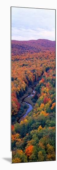 Autumn Color at Porcupine State Park, Michigan's Upper Peninsula, Michigan-null-Mounted Photographic Print