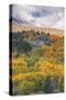 Autumn Color at Rush Creek Eastern Sierras-Vincent James-Stretched Canvas