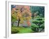 Autumn Color at the Japanese Garden, Washington Park Arboretum, Seattle, Washington, USA-Jamie & Judy Wild-Framed Photographic Print