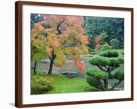 Autumn Color at the Japanese Garden, Washington Park Arboretum, Seattle, Washington, USA-Jamie & Judy Wild-Framed Photographic Print