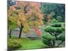 Autumn Color at the Japanese Garden, Washington Park Arboretum, Seattle, Washington, USA-Jamie & Judy Wild-Mounted Photographic Print