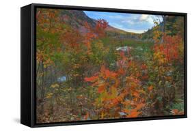Autumn Color at The Tarn Maine Coast-Vincent James-Framed Stretched Canvas