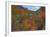 Autumn Color at The Tarn Maine Coast-Vincent James-Framed Photographic Print