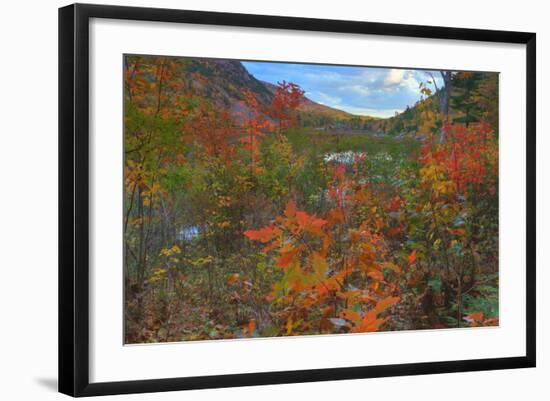 Autumn Color at The Tarn Maine Coast-Vincent James-Framed Photographic Print