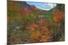 Autumn Color at The Tarn Maine Coast-Vincent James-Mounted Photographic Print