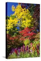 Autumn Color, Butchard Gardens, Victoria, British Columbia, Canada-Terry Eggers-Stretched Canvas