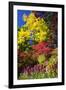 Autumn Color, Butchard Gardens, Victoria, British Columbia, Canada-Terry Eggers-Framed Premium Photographic Print