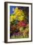 Autumn Color, Butchard Gardens, Victoria, British Columbia, Canada-Terry Eggers-Framed Photographic Print