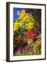 Autumn Color, Butchard Gardens, Victoria, British Columbia, Canada-Terry Eggers-Framed Photographic Print