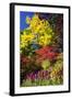 Autumn Color, Butchard Gardens, Victoria, British Columbia, Canada-Terry Eggers-Framed Photographic Print