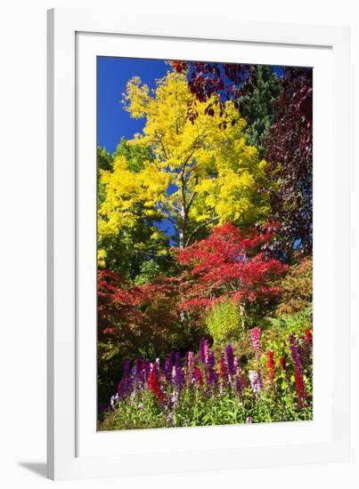 Autumn Color, Butchard Gardens, Victoria, British Columbia, Canada-Terry Eggers-Framed Photographic Print