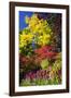 Autumn Color, Butchard Gardens, Victoria, British Columbia, Canada-Terry Eggers-Framed Photographic Print