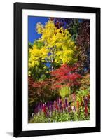 Autumn Color, Butchard Gardens, Victoria, British Columbia, Canada-Terry Eggers-Framed Photographic Print