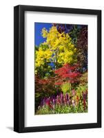 Autumn Color, Butchard Gardens, Victoria, British Columbia, Canada-Terry Eggers-Framed Photographic Print