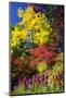 Autumn Color, Butchard Gardens, Victoria, British Columbia, Canada-Terry Eggers-Mounted Photographic Print