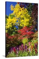 Autumn Color, Butchard Gardens, Victoria, British Columbia, Canada-Terry Eggers-Stretched Canvas
