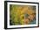 Autumn Color, Eastern Sierras, Aspens, California-Vincent James-Framed Photographic Print