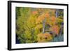 Autumn Color, Eastern Sierras, Aspens, California-Vincent James-Framed Photographic Print