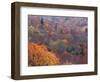 Autumn color in the Great Smoky Mountains National Park, Tennessee, USA-William Sutton-Framed Photographic Print