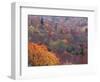 Autumn color in the Great Smoky Mountains National Park, Tennessee, USA-William Sutton-Framed Photographic Print