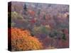 Autumn color in the Great Smoky Mountains National Park, Tennessee, USA-William Sutton-Stretched Canvas