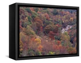 Autumn color in the Great Smoky Mountains National Park, Tennessee, USA-William Sutton-Framed Stretched Canvas