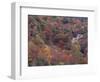 Autumn color in the Great Smoky Mountains National Park, Tennessee, USA-William Sutton-Framed Photographic Print
