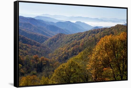 Autumn color in the valley, Great Smoky Mountain National Park, Tennessee-Gayle Harper-Framed Stretched Canvas