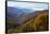 Autumn color in the valley, Great Smoky Mountain National Park, Tennessee-Gayle Harper-Framed Stretched Canvas