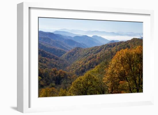 Autumn color in the valley, Great Smoky Mountain National Park, Tennessee-Gayle Harper-Framed Photographic Print