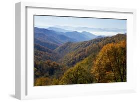 Autumn color in the valley, Great Smoky Mountain National Park, Tennessee-Gayle Harper-Framed Photographic Print