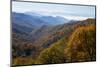 Autumn color in the valley, Great Smoky Mountain National Park, Tennessee-Gayle Harper-Mounted Premium Photographic Print