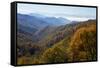 Autumn color in the valley, Great Smoky Mountain National Park, Tennessee-Gayle Harper-Framed Stretched Canvas