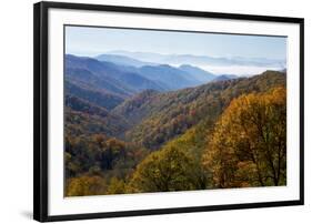 Autumn color in the valley, Great Smoky Mountain National Park, Tennessee-Gayle Harper-Framed Photographic Print