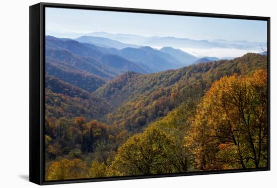Autumn color in the valley, Great Smoky Mountain National Park, Tennessee-Gayle Harper-Framed Stretched Canvas