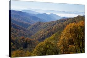 Autumn color in the valley, Great Smoky Mountain National Park, Tennessee-Gayle Harper-Stretched Canvas