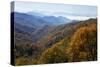 Autumn color in the valley, Great Smoky Mountain National Park, Tennessee-Gayle Harper-Stretched Canvas