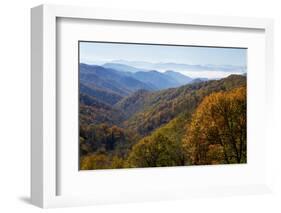 Autumn color in the valley, Great Smoky Mountain National Park, Tennessee-Gayle Harper-Framed Photographic Print