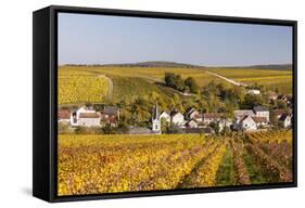 Autumn Color in the Vineyards Surrounding Bue, Sancerre, Cher, Centre, France, Europe-Julian Elliott-Framed Stretched Canvas