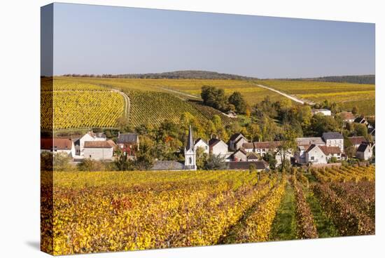 Autumn Color in the Vineyards Surrounding Bue, Sancerre, Cher, Centre, France, Europe-Julian Elliott-Stretched Canvas