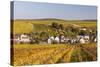 Autumn Color in the Vineyards Surrounding Bue, Sancerre, Cher, Centre, France, Europe-Julian Elliott-Stretched Canvas