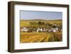 Autumn Color in the Vineyards Surrounding Bue, Sancerre, Cher, Centre, France, Europe-Julian Elliott-Framed Photographic Print