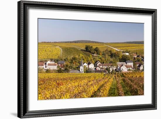 Autumn Color in the Vineyards Surrounding Bue, Sancerre, Cher, Centre, France, Europe-Julian Elliott-Framed Photographic Print