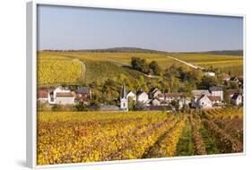 Autumn Color in the Vineyards Surrounding Bue, Sancerre, Cher, Centre, France, Europe-Julian Elliott-Framed Photographic Print