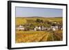 Autumn Color in the Vineyards Surrounding Bue, Sancerre, Cher, Centre, France, Europe-Julian Elliott-Framed Photographic Print