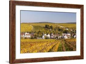 Autumn Color in the Vineyards Surrounding Bue, Sancerre, Cher, Centre, France, Europe-Julian Elliott-Framed Photographic Print