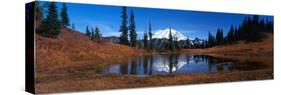 Autumn Color, Little Lake Tipso with Reflection of Mt. Rainier, Mt. Rainier National Park, USA-Terry Eggers-Stretched Canvas