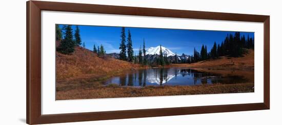 Autumn Color, Little Lake Tipso with Reflection of Mt. Rainier, Mt. Rainier National Park, USA-Terry Eggers-Framed Photographic Print