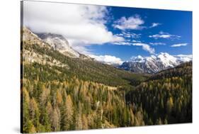 Autumn color near to Cortina d'Ampezzo in the Dolomites, Italy-Julian Elliott-Stretched Canvas